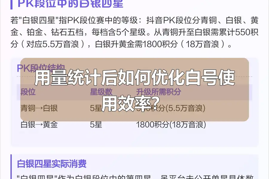 用量统计后如何优化白号使用效率？